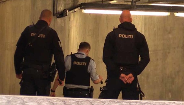 fisse i aalborg