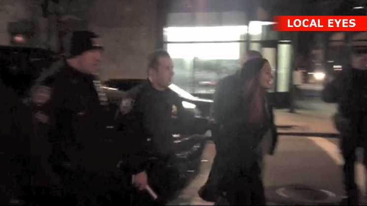 Lindsay Lohan bliver arresteret efter slagsmål