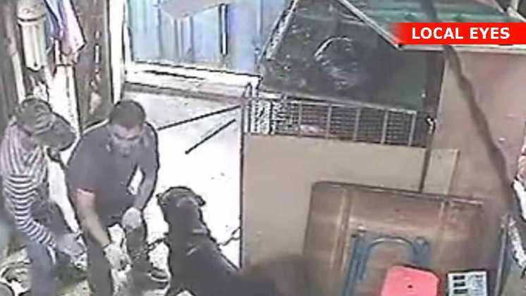 I Kina stjæler de hunde