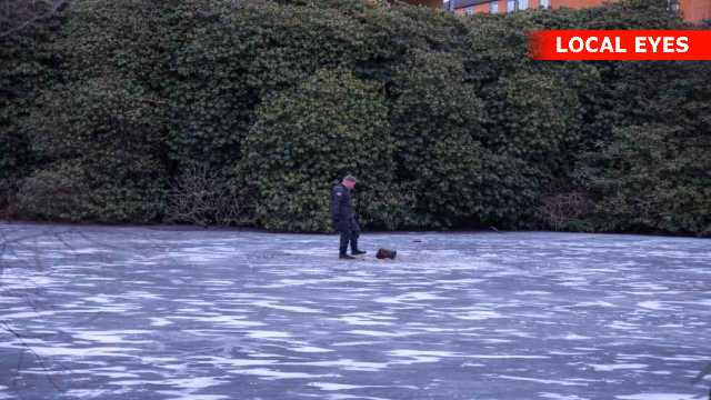 Valby Langgade 79, 2500 København, Danmark